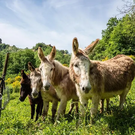 Il Giaggiolo * Reggello