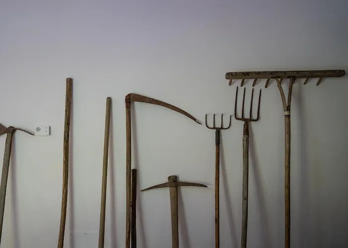 Il Giaggiolo レッジェッロ