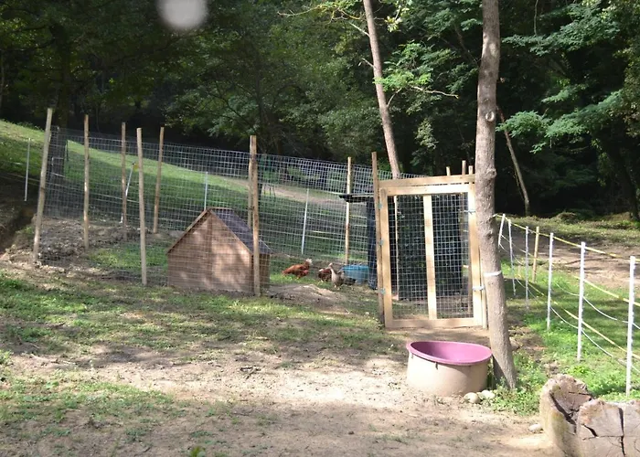 Gospodarstwo agroturystyczne Il Giaggiolo Reggello