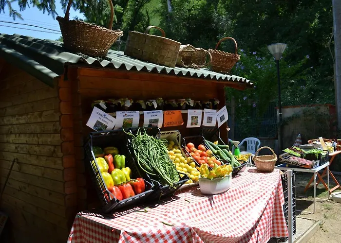 مزرعة للإقامة Il Giaggiolo *